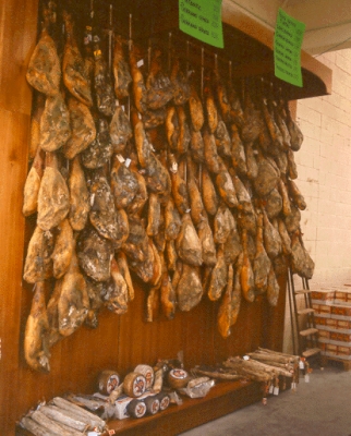 polivalencia3