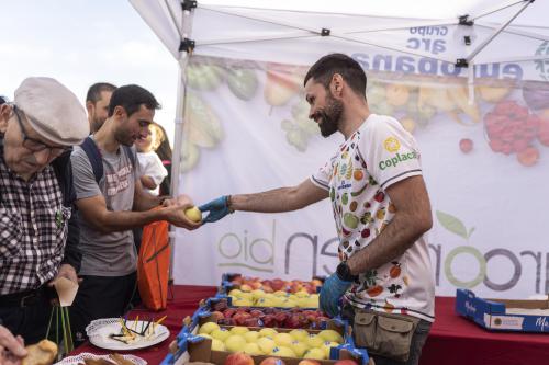 mercamadrid10k-degustacion