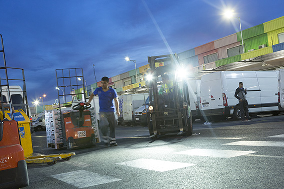 Carretillas, transpaletas, prevención de riesgos