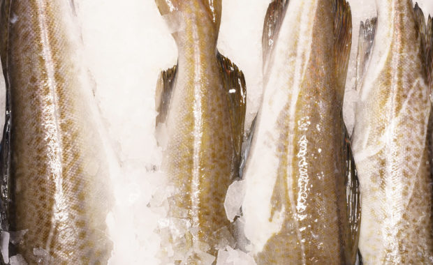 El pescado, protagonista de la tradición culinaria de Semana Santa