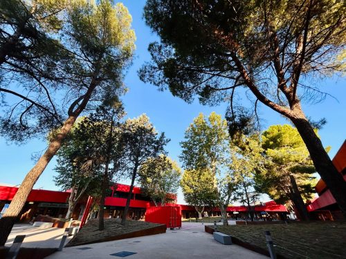 La Plaza 8