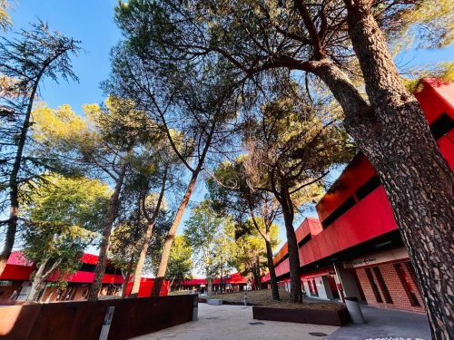 La Plaza 6